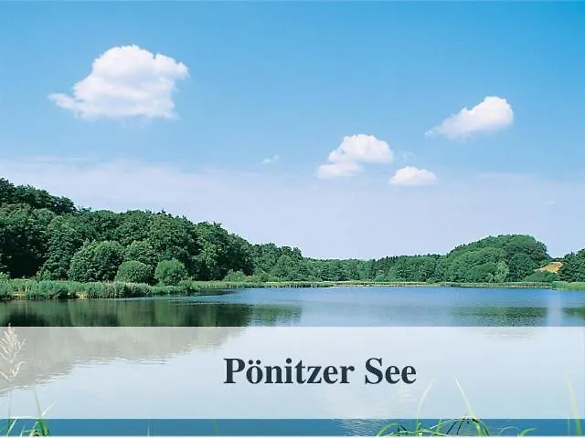 Apartamento Waldstrandnest Mit Weitblick